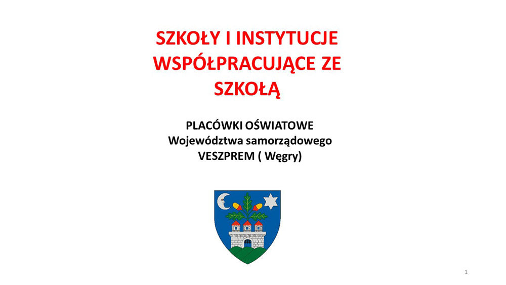 1 zdjecie wspolpraca Veszprem