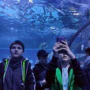 „Młodzi razem” na Węgrzech