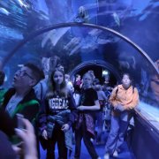 „Młodzi razem” na Węgrzech