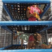 Półkolonia SP 20- Dzień dziesiąty