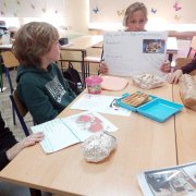 Śniadanie dla sportowca