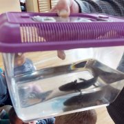 Żywa lekcja biologii