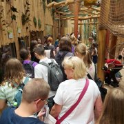 Polak Węgier dwa bratanki