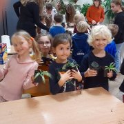 Co piszczy pod liśćmi?