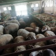 Wycieczka inne niż wszystkie