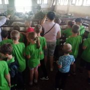 Wycieczka inne niż wszystkie