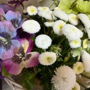 „Wiosenne klimaty”