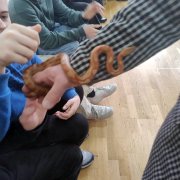 Żywa lekcja biologii