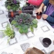 „Jesień w przyrodzie”