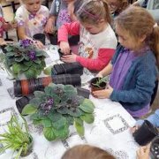 Jesień w przyrodzie