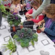 Jesień w przyrodzie