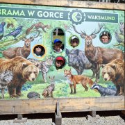 Półkolonia przy SP20 dzień czwarty