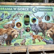 Półkolonia przy SP20 dzień czwarty