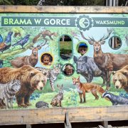 Półkolonia przy SP20 dzień czwarty