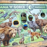 Półkolonia przy SP20 dzień czwarty