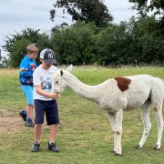 Półkolonia przy SP20 - dzień piąty 
