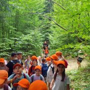 Zielona szkoła 1a i 2b