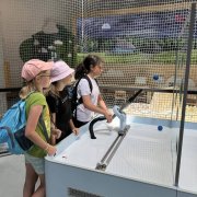 Półkolonia przy SP20 – dzień trzeci