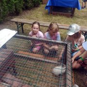 Półkolonia przy SP20 – dzień ósmy