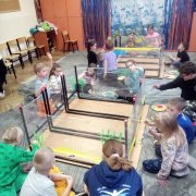 Mieszkańcy mórz i oceanów