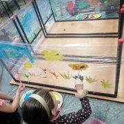 Mieszkańcy mórz i oceanów