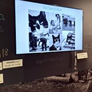 Regionalne Centrum Edukacji o Pamięci - warsztaty klasy 3a