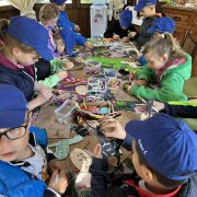 Na farmie alpak w Małej Łące