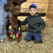 Na farmie alpak w Małej Łące