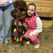 Na farmie alpak w Małej Łące