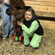 Na farmie alpak w Małej Łące