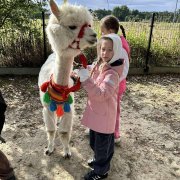 Na farmie alpak w Małej Łące