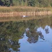 Wycieczka kasy 6b do Wierzchosławic